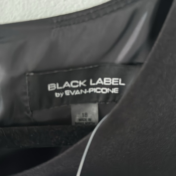 Black Label by Evan-Picone Lined Sleeveless Dress - Picture 5 of 6